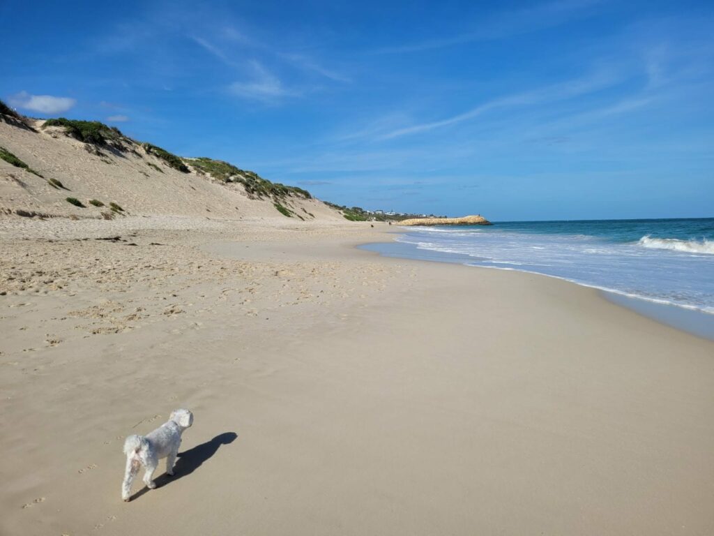 Quinns Rocks Beach