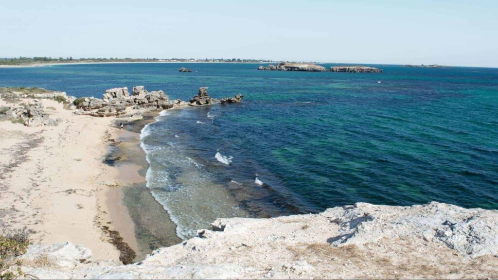 Where do I book whale watching tours in Perth