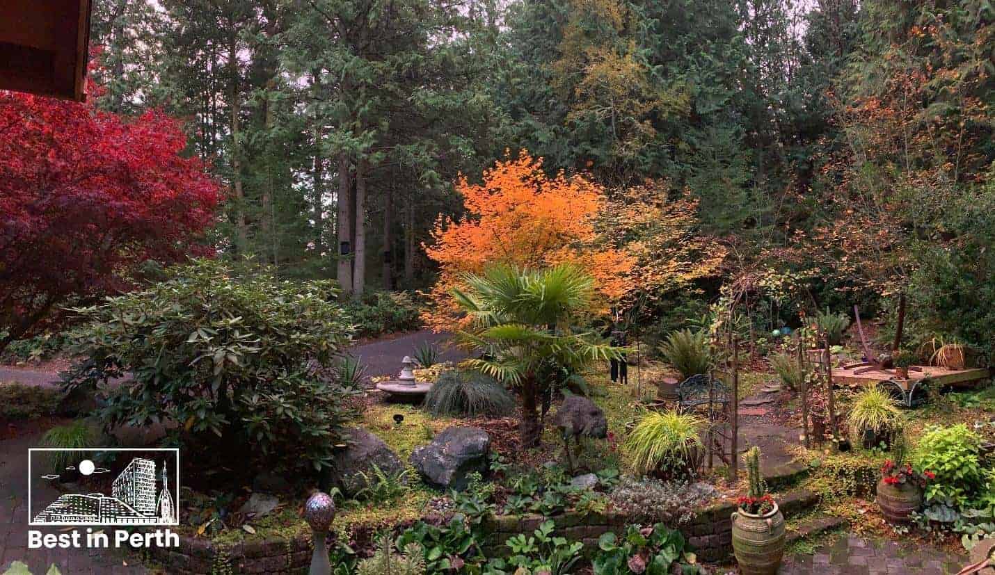 5 Best Landscaping Services in Perth