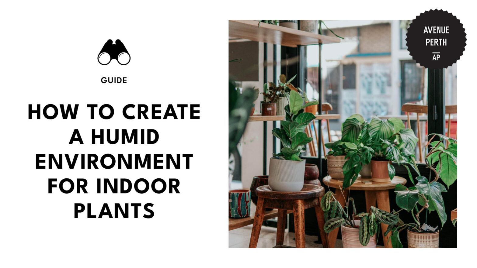 How to Create a Humid Environment for Indoor Plants [2026 ]