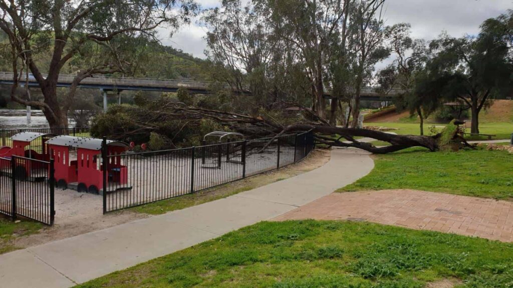 Enjoy a Picnic at the Duidgee Park Toodyay