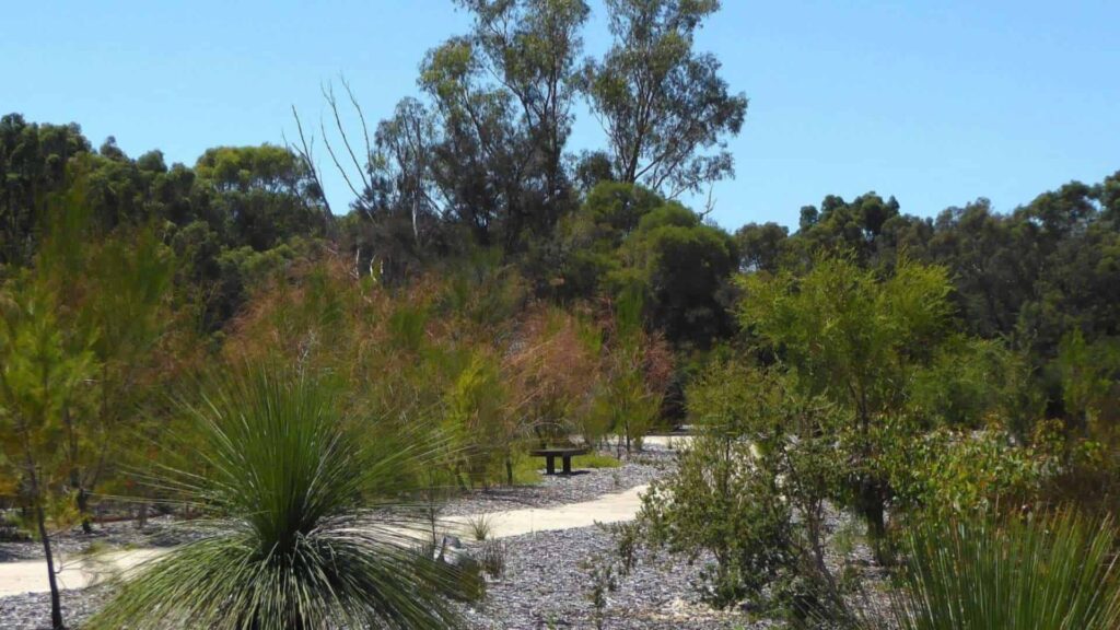 Explore the Eric Singleton Bird Sanctuary