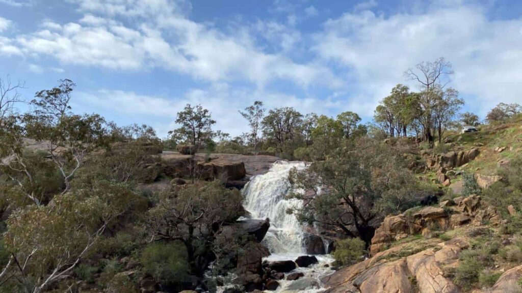 Explore the John Forrest National Park