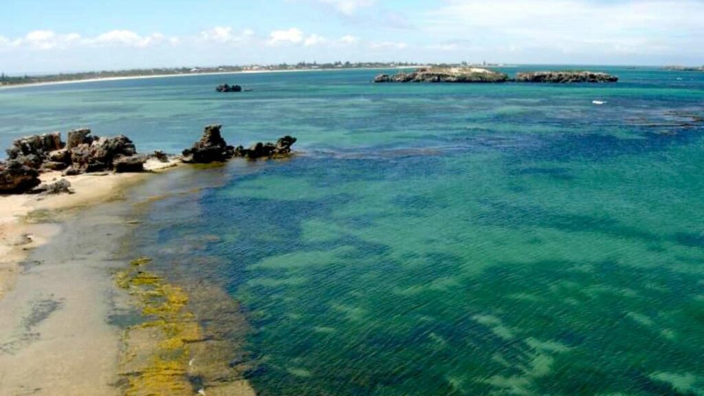 Go on a Kayak Trip at Shoalwater Islands Marine Park