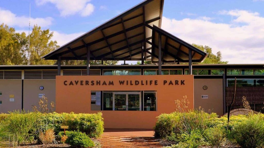 See Some Wildlife at the Caversham Wildlife Park