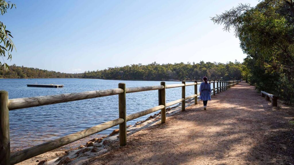 Take a Swim at the Lake Leschenaultia