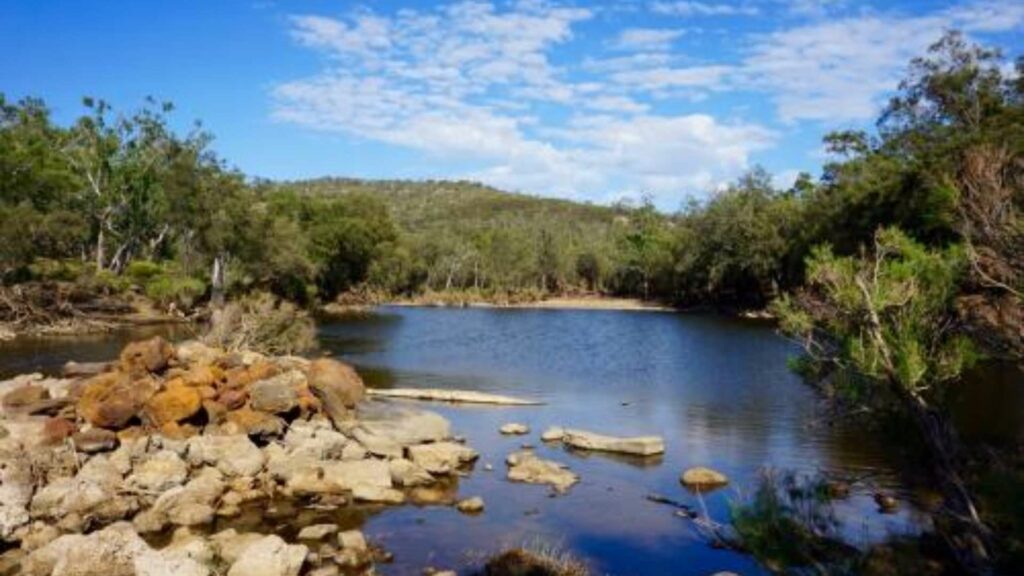 Visit the Walyunga National Park