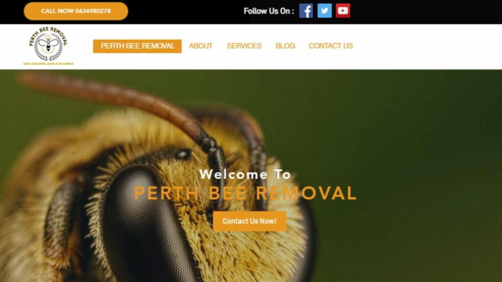 Bee And Wasp Removal's homepage