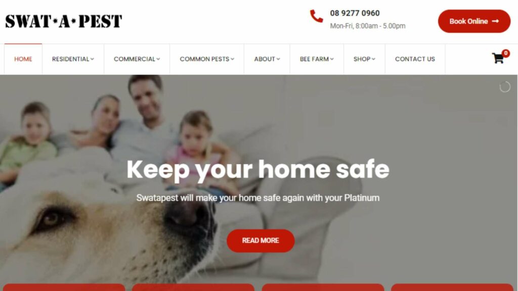 Swatapest's Homepage