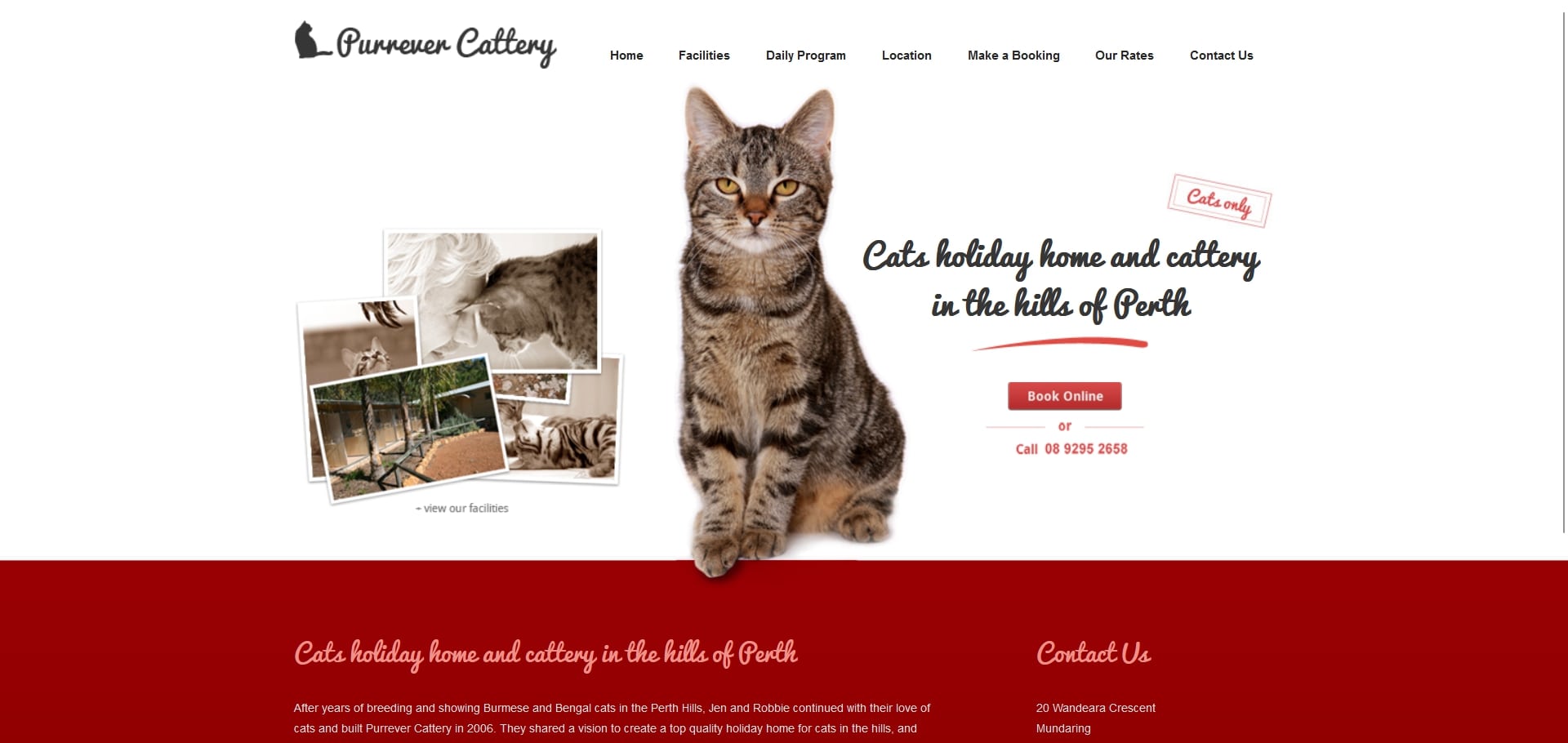 5 Reliable Perth Boarding Centres to Leave Your Cat With [2026]