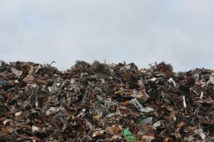 Perth’s Environmental Situation and What We Can Do About It [2025]