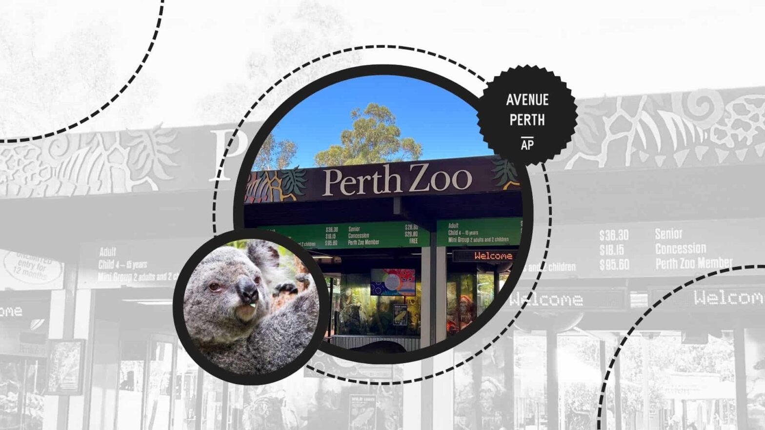 7 Best Things to Do in South Perth [2026 ]