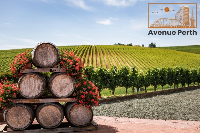 Explore the Rich Wine Heritage of Perth in Its Best Wineries
