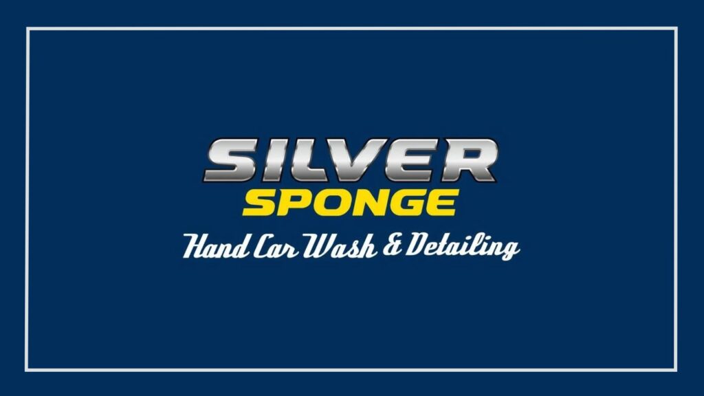 Silver Sponge
