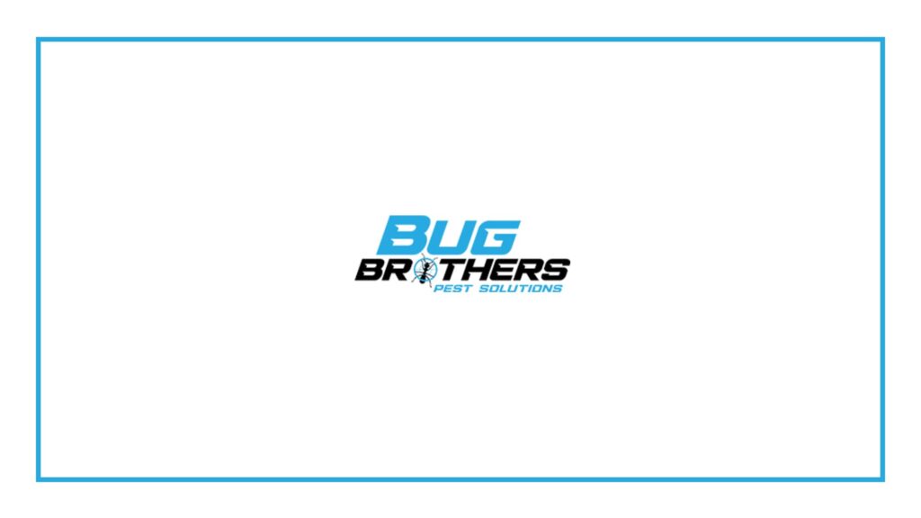 bug-brothers-pest-solutions