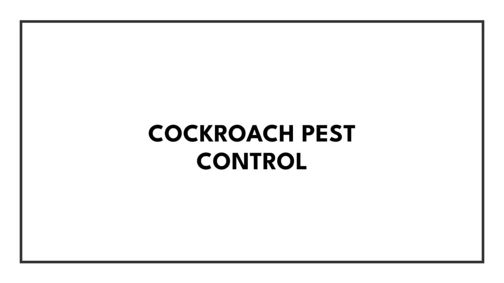 cockroach-pest-control