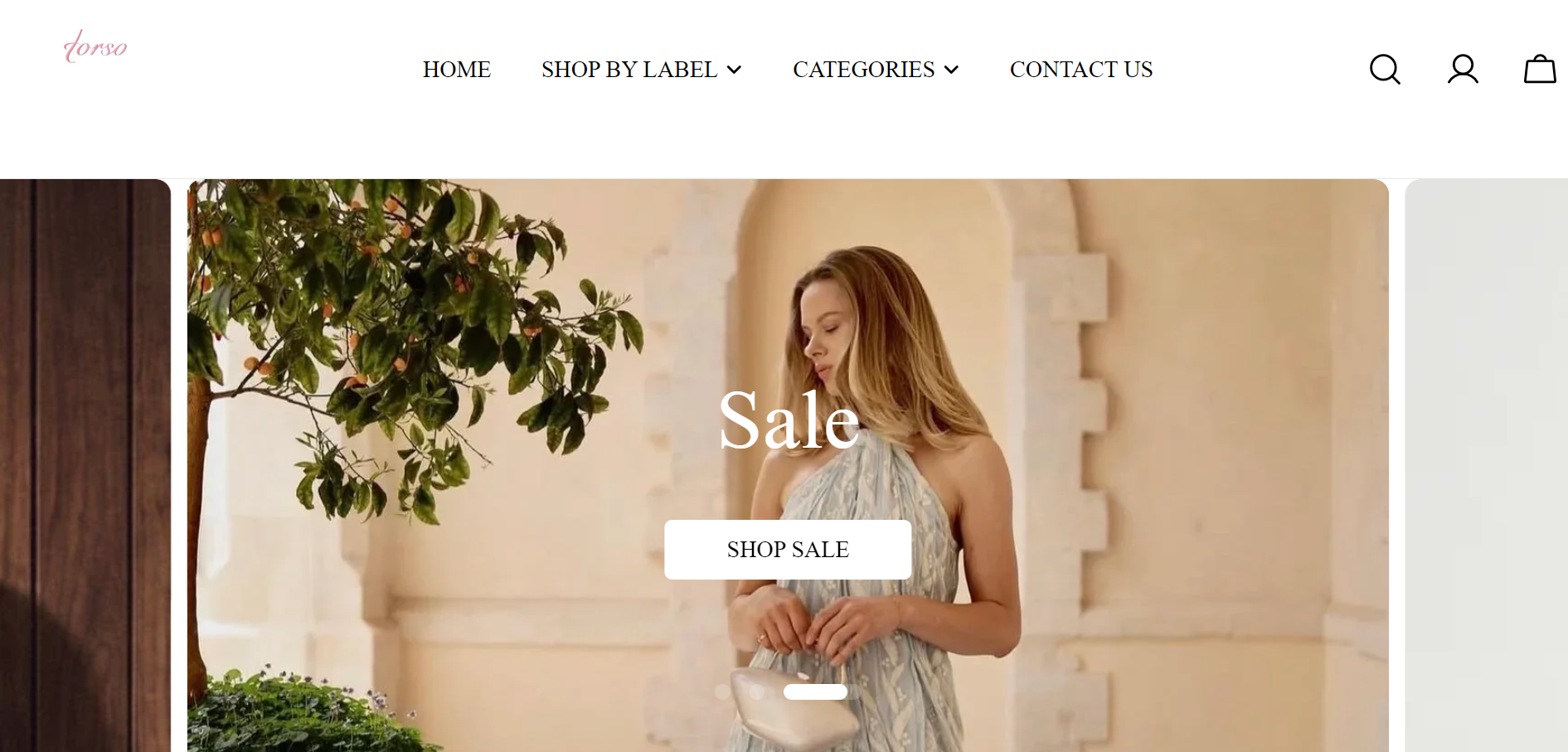 torso homepage