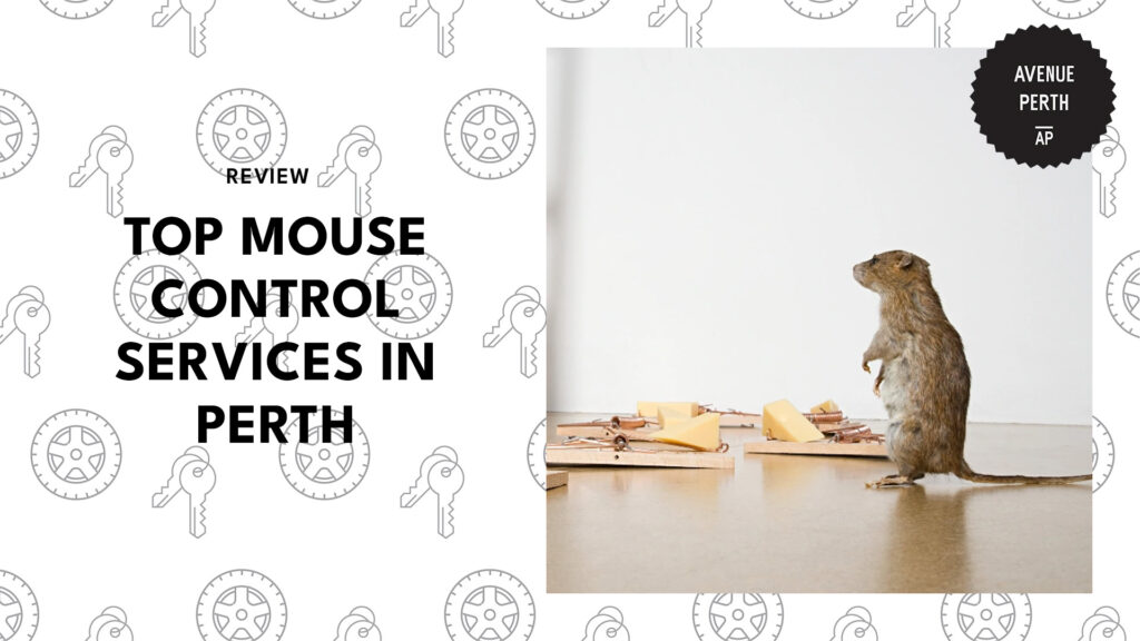 best-mouse-control-perth-banner