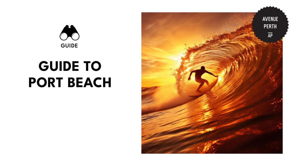 port-beach-guide-banner