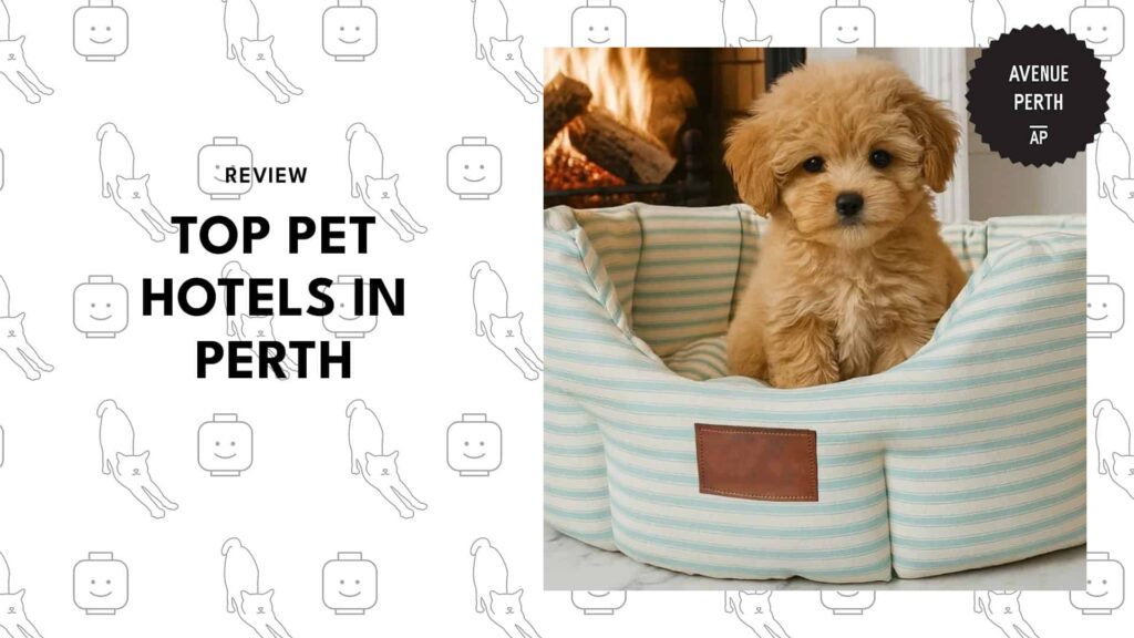 pet-hotels-in-perth