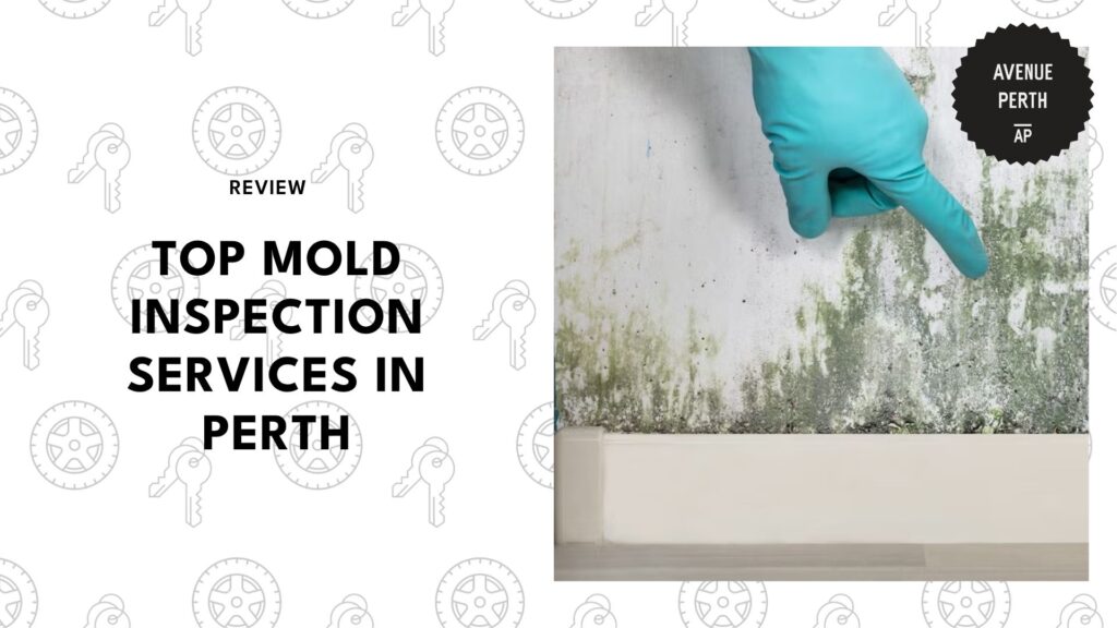 top-mold-inspection-perth-banner
