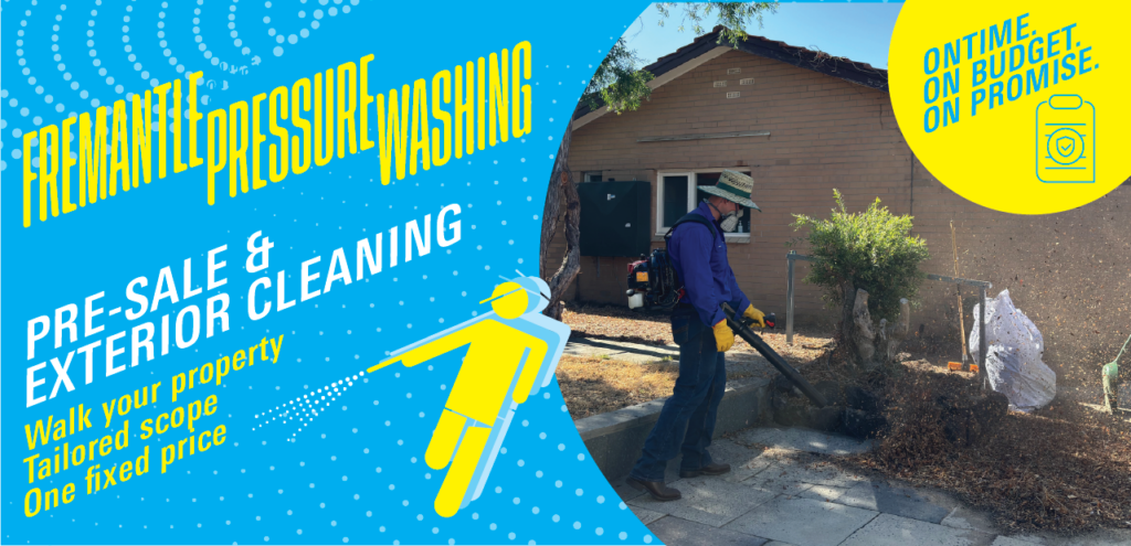 avenue cleaning