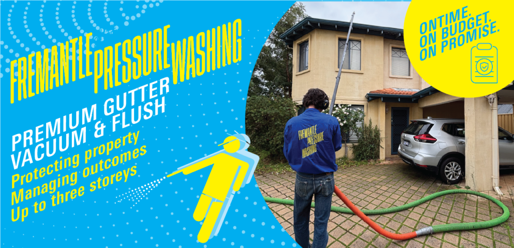 avenue gutter cleaning