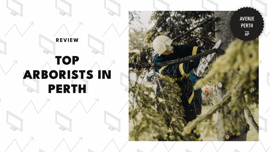 arborists-in-perth