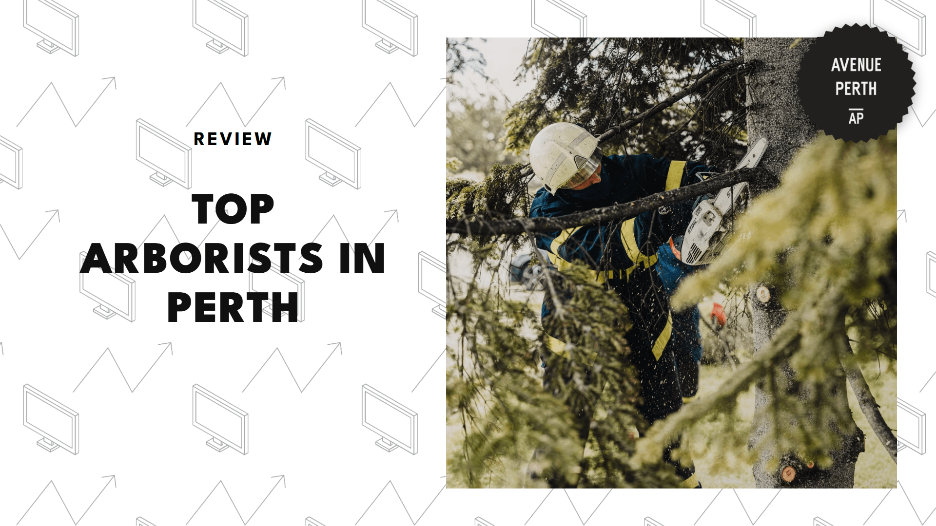 arborists-in-perth