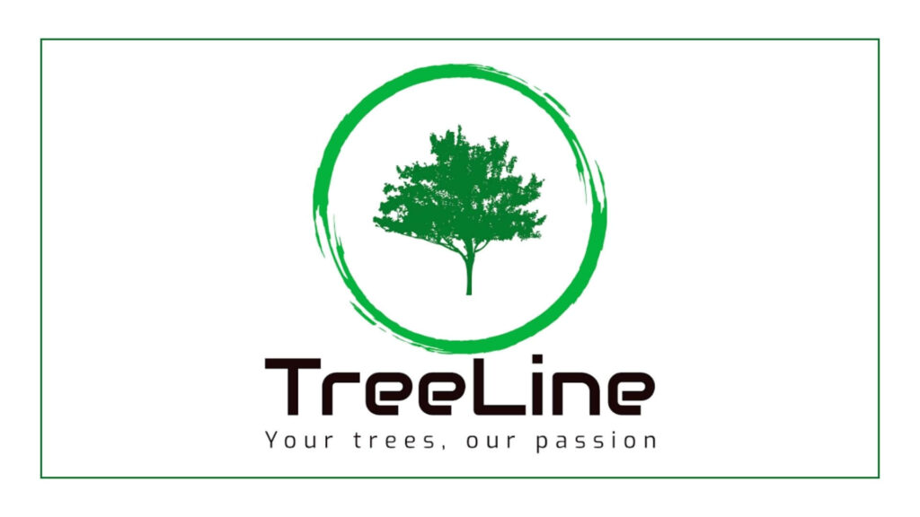 treeline